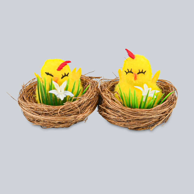 2 poussins dans nid
