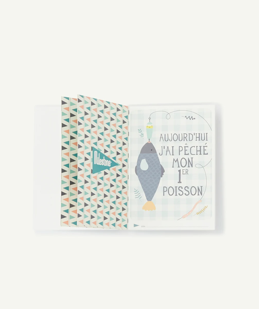 MILESTONEMILESTONE® - CARTE ÉTAPE 
