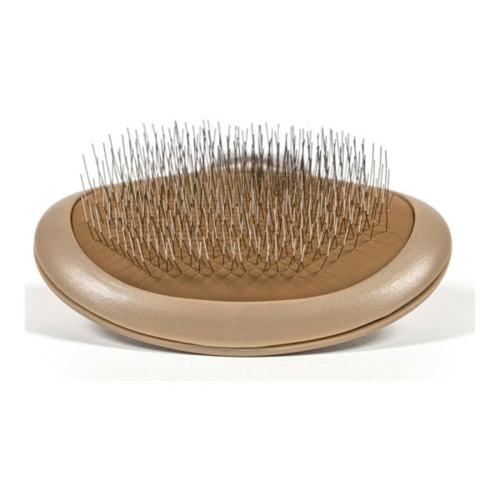 Brosse pour carder oblongue