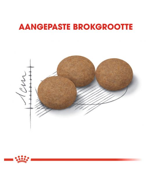 Royal Canin Ageing Sterilised 12+ - Kattenvoer