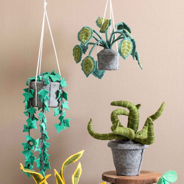 KidsDepot Hangplant Hedera Felix