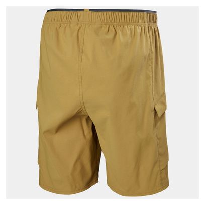 Short de Randonnée Helly Hansen Vista Hike Brun
