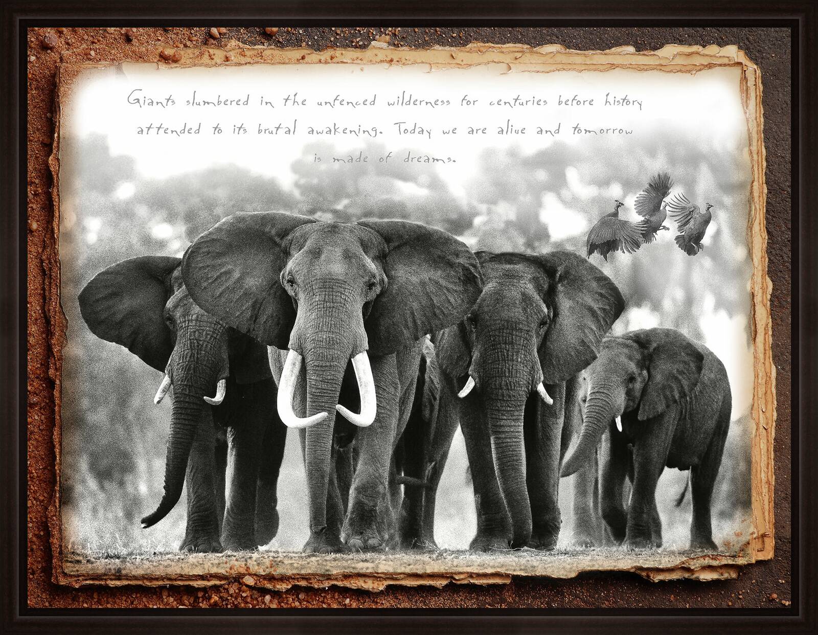 Elephant Leader by Horst Klemm - Limited Edition. Edition of: 150. Signed.