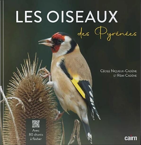 CAIRN DIFFUSION - LES OISEAUX DES PYRENEES