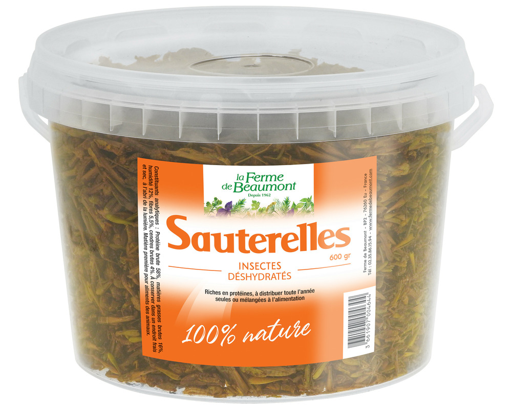 Sauterelles déshydratées 600 gr • friandise pour poules, volailles et reptiles