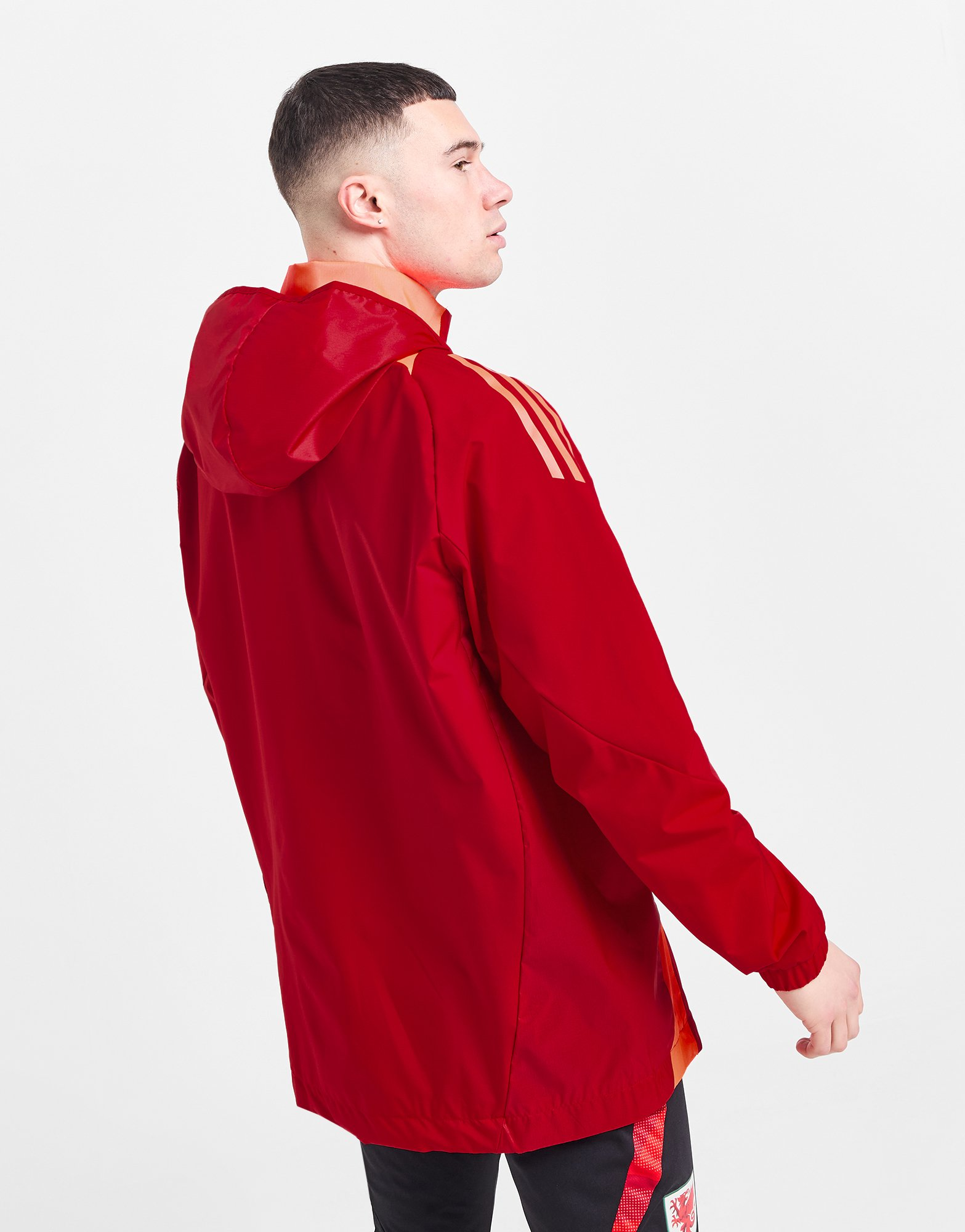 adidas Veste Pays de Galles Tiro 24 All-Weather Homme