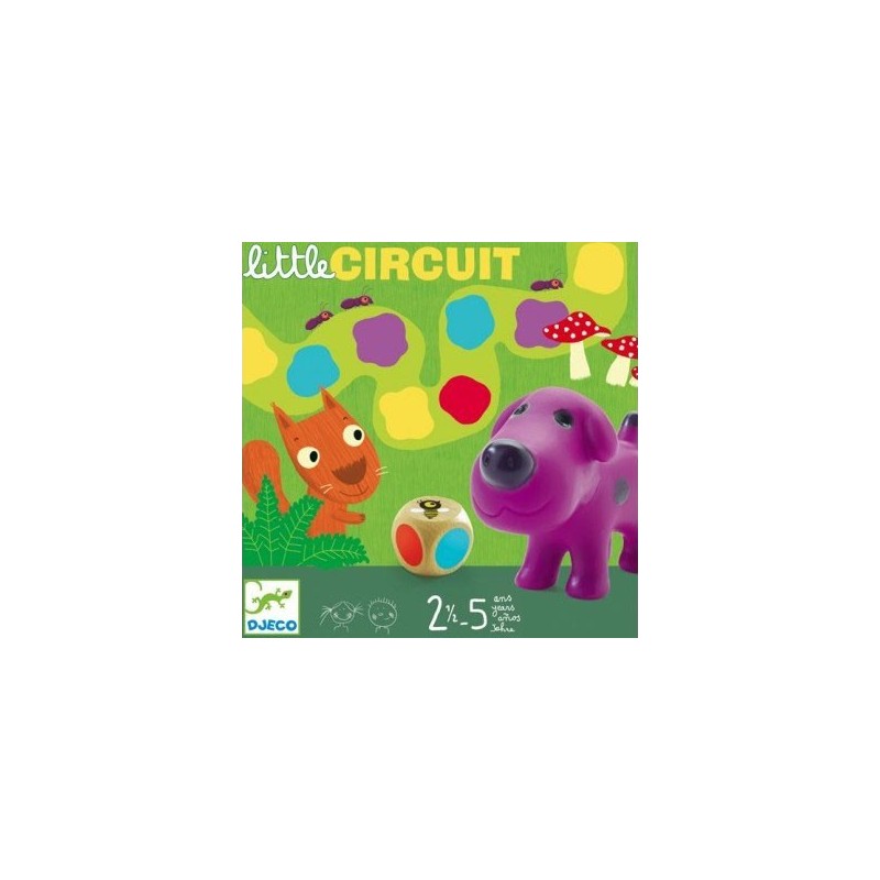 Little Circuit