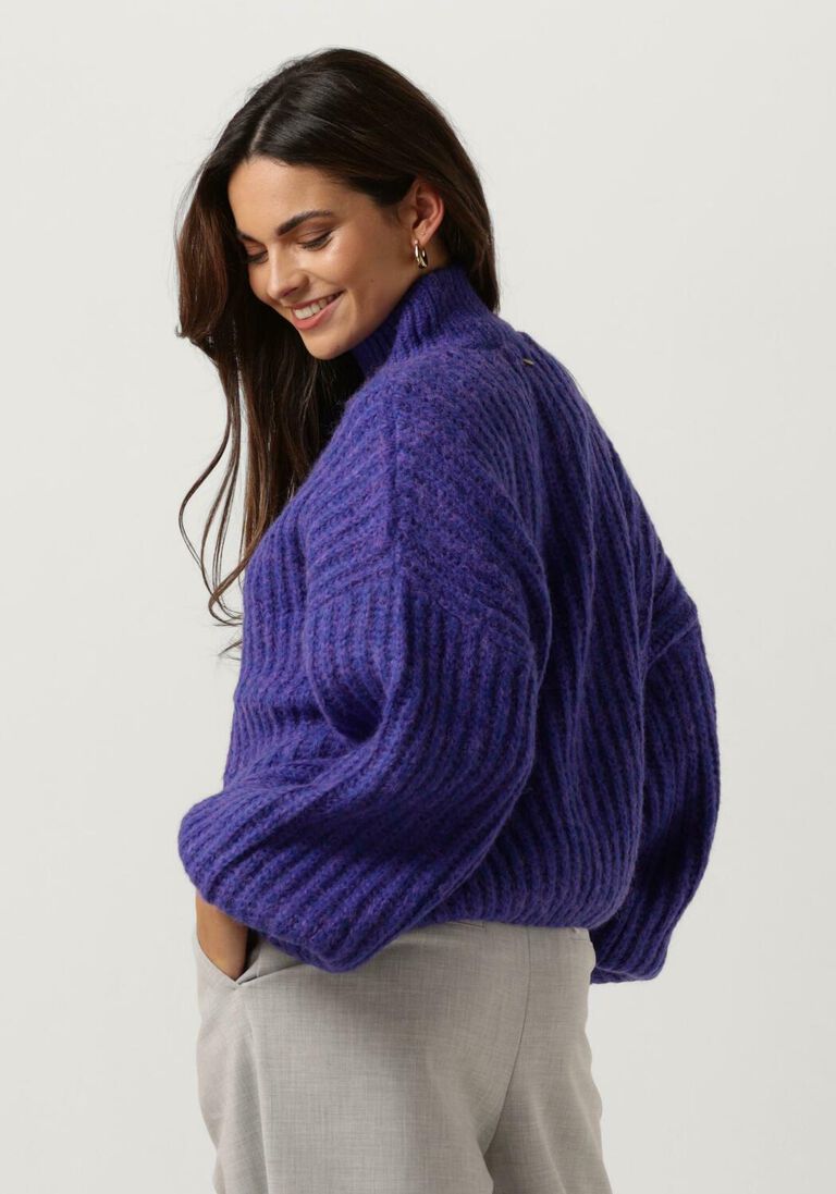 CIRCLE OF TRUST paarse circle of trust trui joelle knit