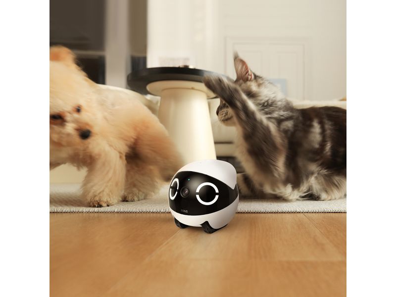 ENABOT Rola Mini Pet Monitor 2k Cam Kleine fahrbare Überwachungskamera