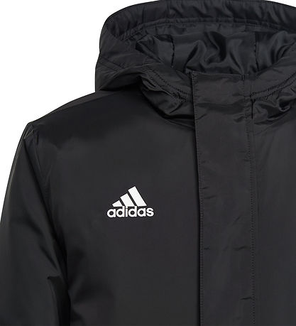 adidas Performance Steppjacke - ENT22 STAD JKTY - Schwarz