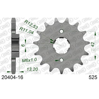 Kit chaine AFAM 525 Type Acier