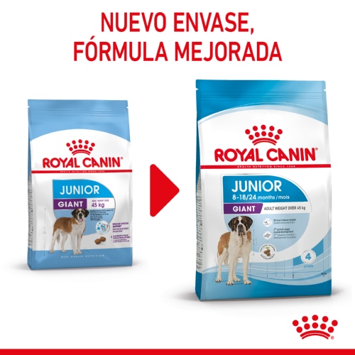 Ração Royal Canin Junior Giant para cães