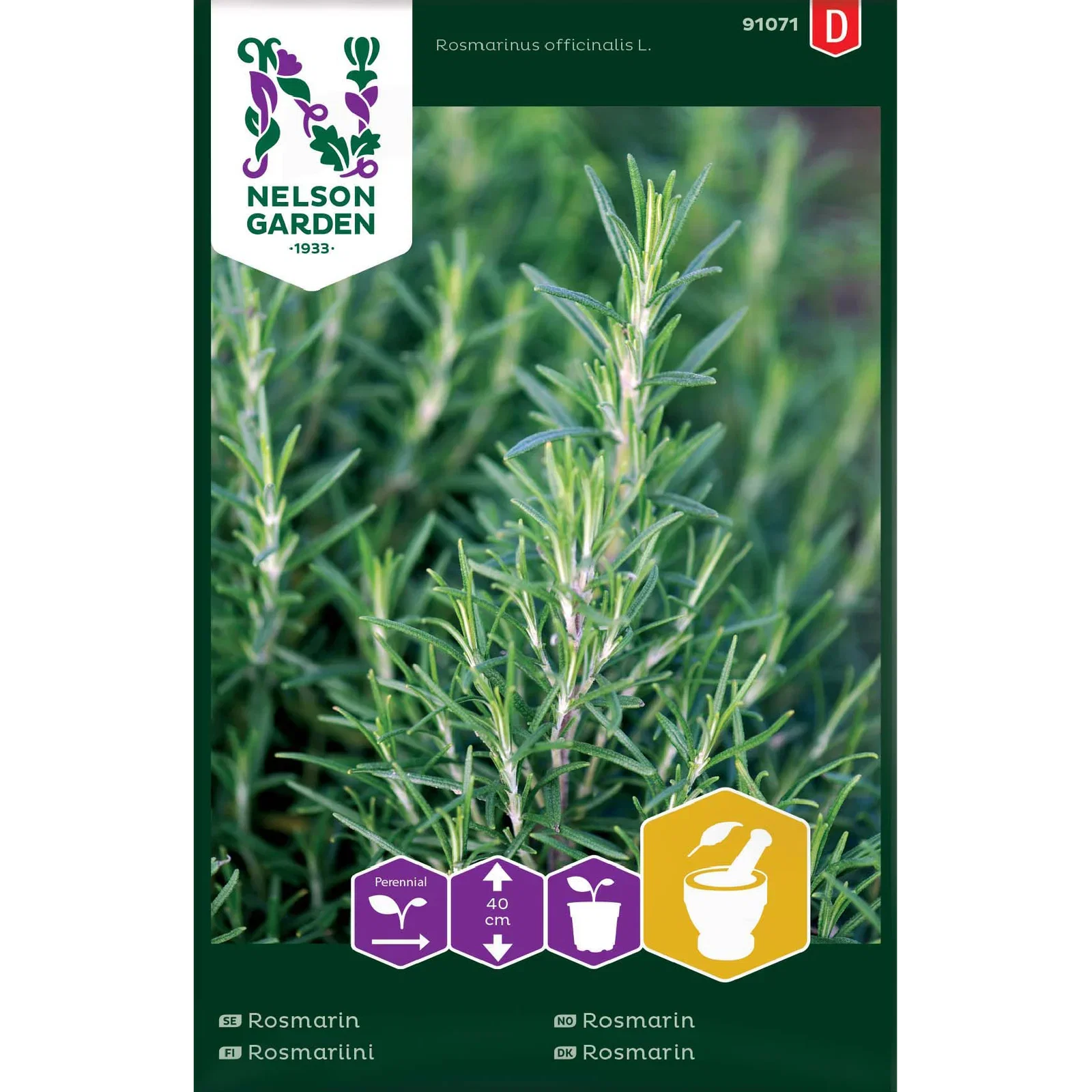 Rosmarinus officinalis Rosmarin