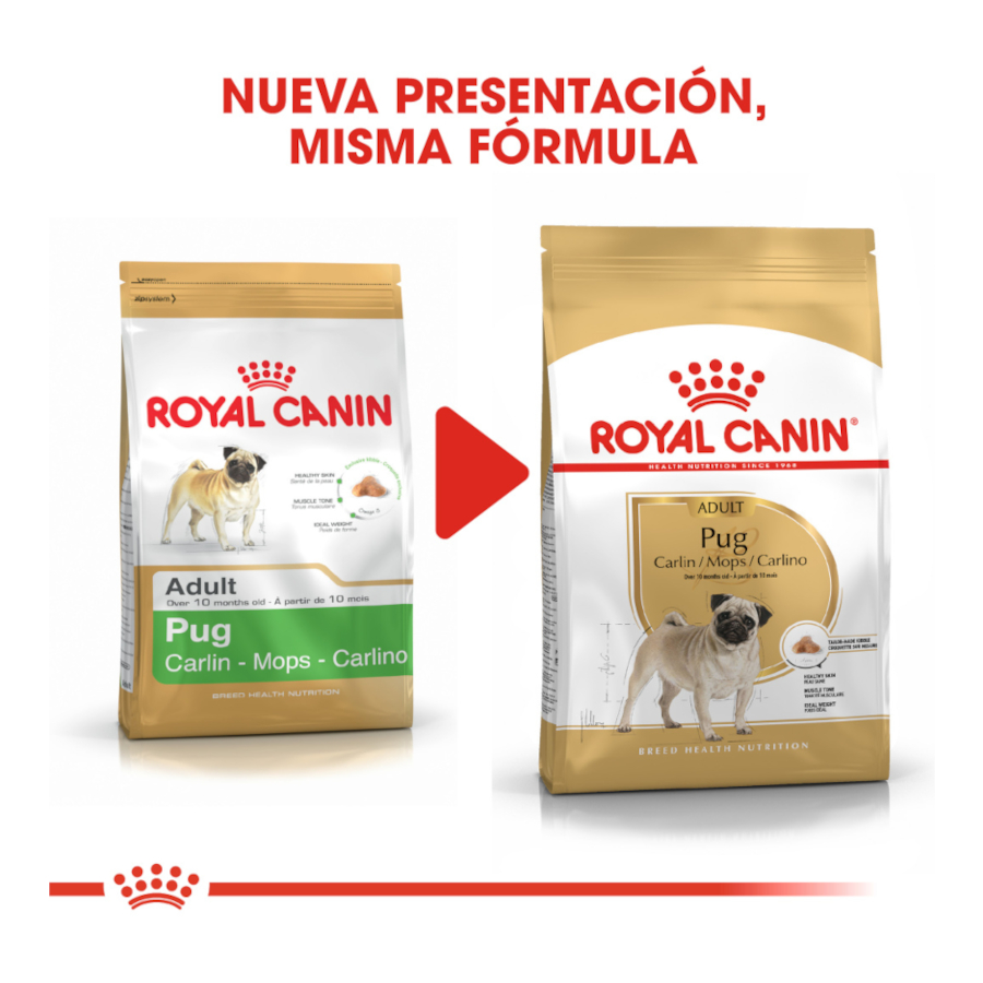 Ração Royal Canin Adult Pug para cães