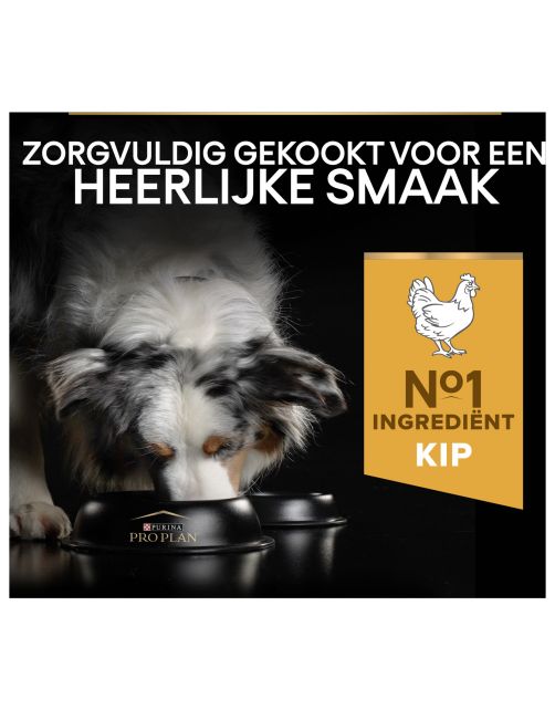 Pro Plan Dog Adult Medium Breed Kip - Hondenvoer