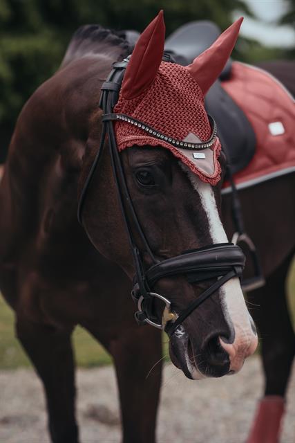 Oornetje Equestrian Stockholm Amber Rose Lichtoranje