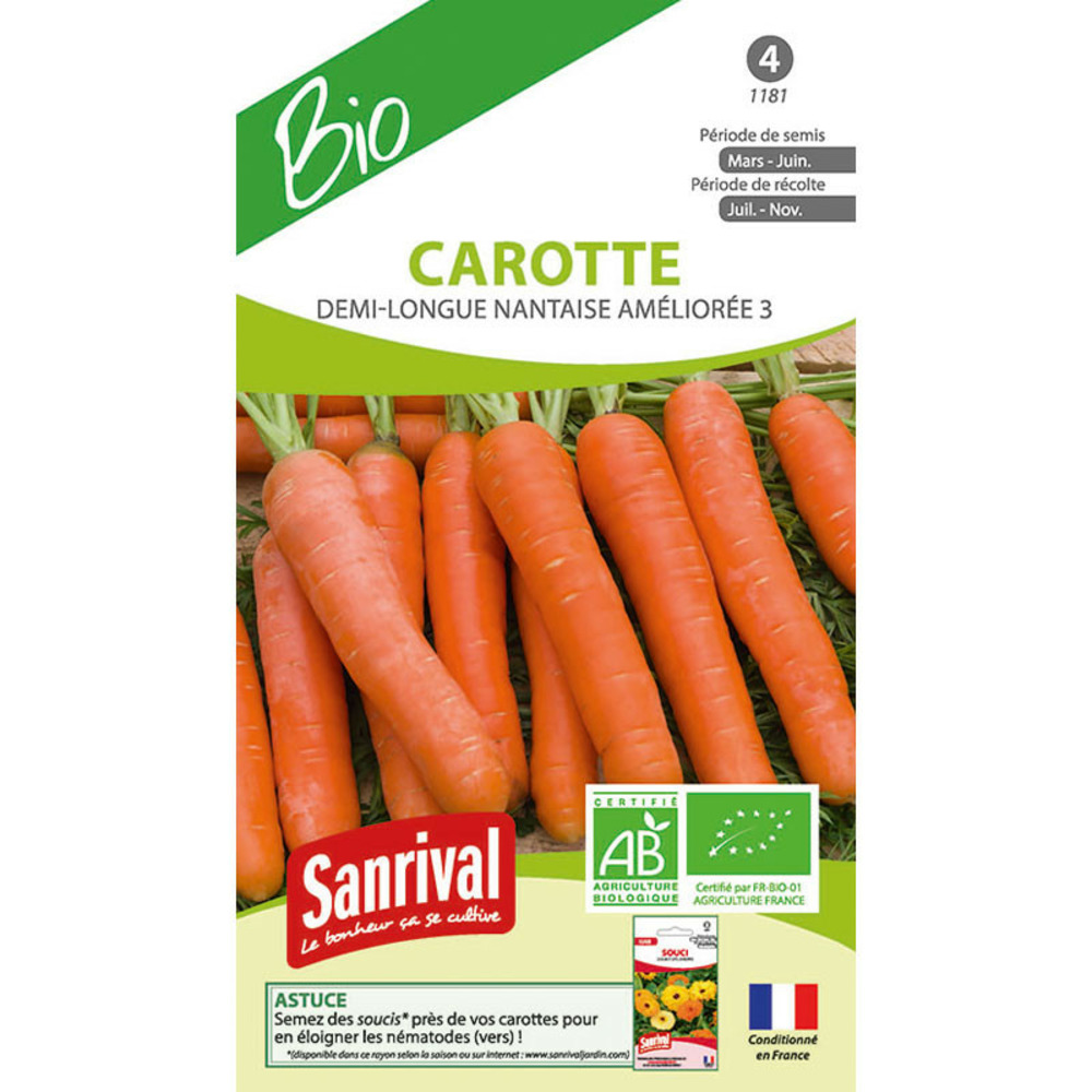 Graines carottes nantaises bio demi longues