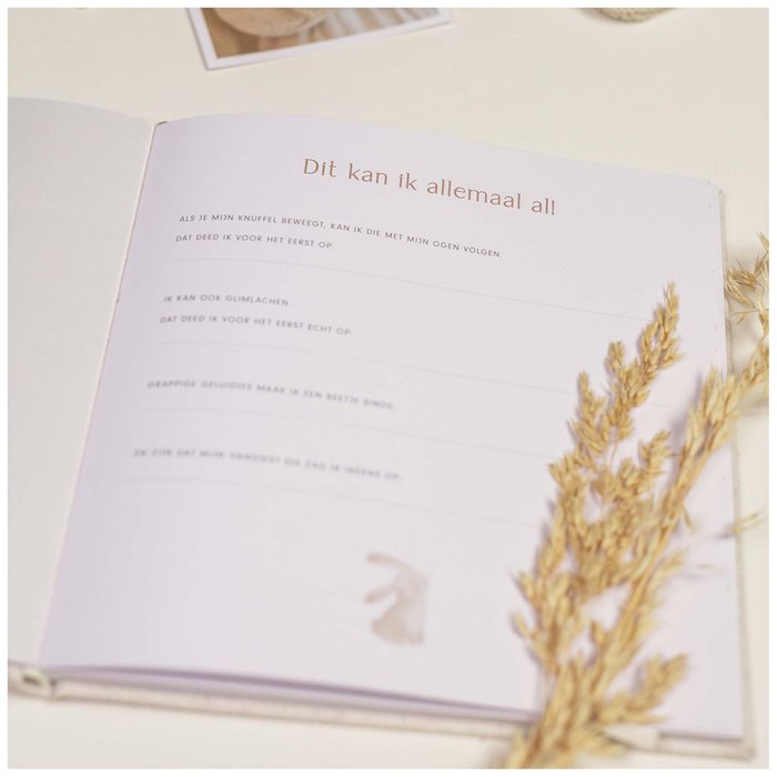 Little Dutch | Babyboek | Mijn eerste jaar