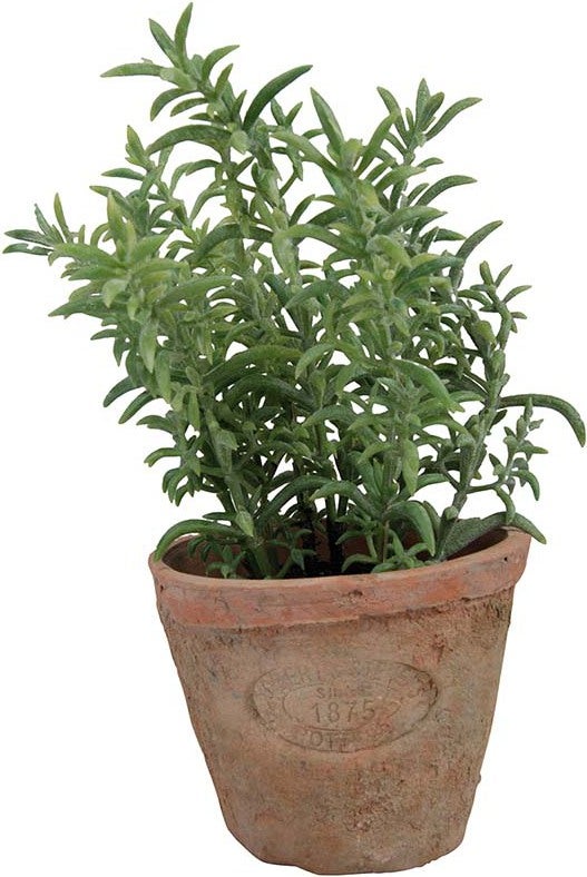 Esschert Design kunstplant Tijm in pot D 9,1 H 15 cm
