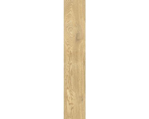 Porseleinen wand- en vloertegel Giornota Oro 11 x 60 x 0,8 cm mat