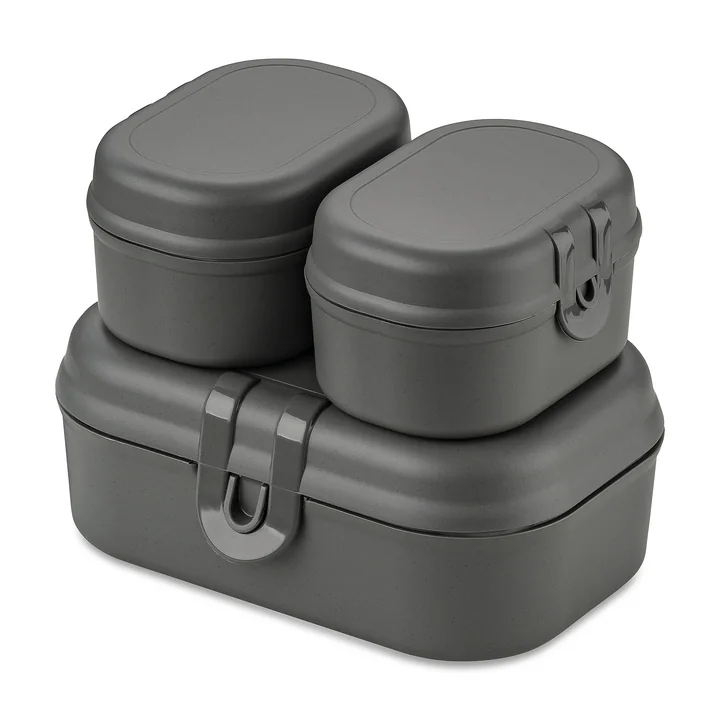 Koziol - Pascal Ready Mini Lunchbox-Set, nature ash grey