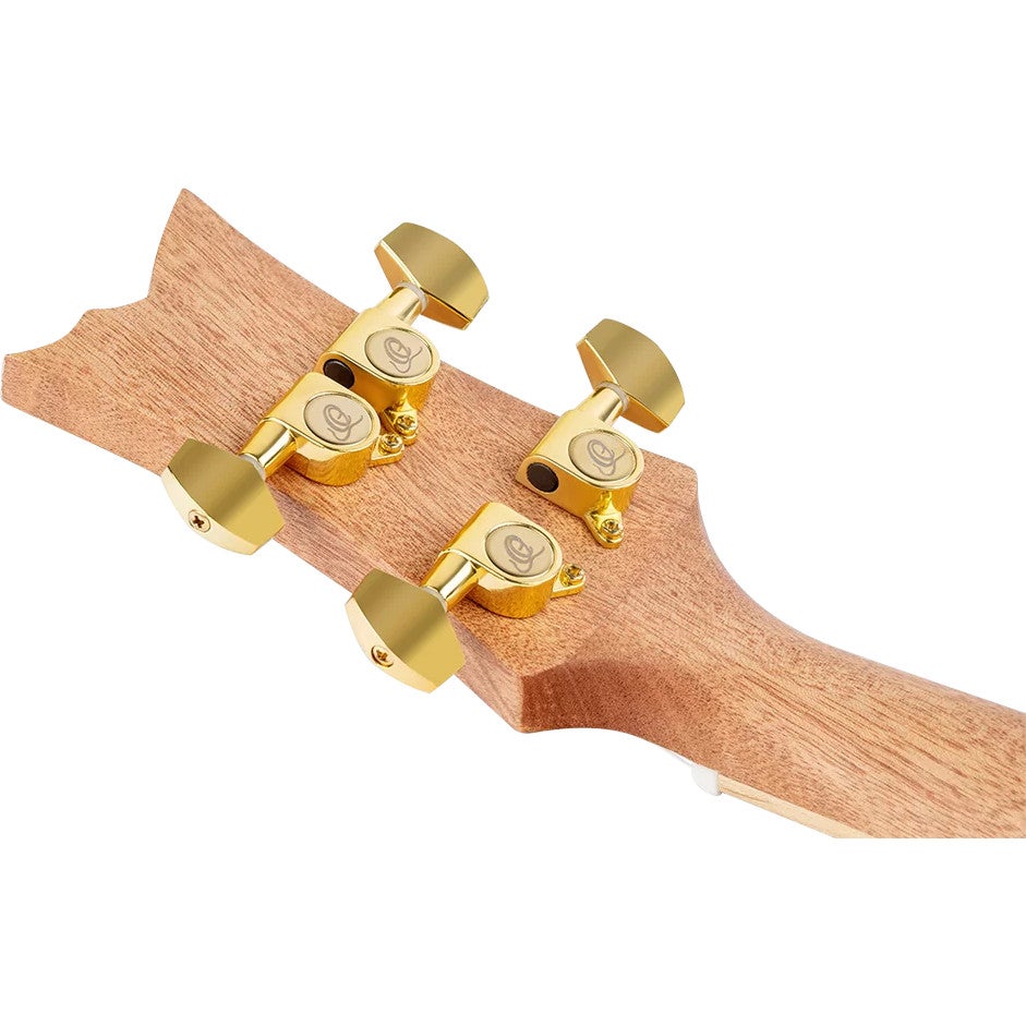 Ortega RUAR-BI Art Series Concert Size Ukulele Birds concert ukelele