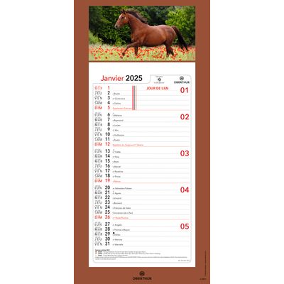 Calendrier mensuel en papier sur plaque illustrée - 16 x 33 cm - différents modèles disponibles - Oberthur