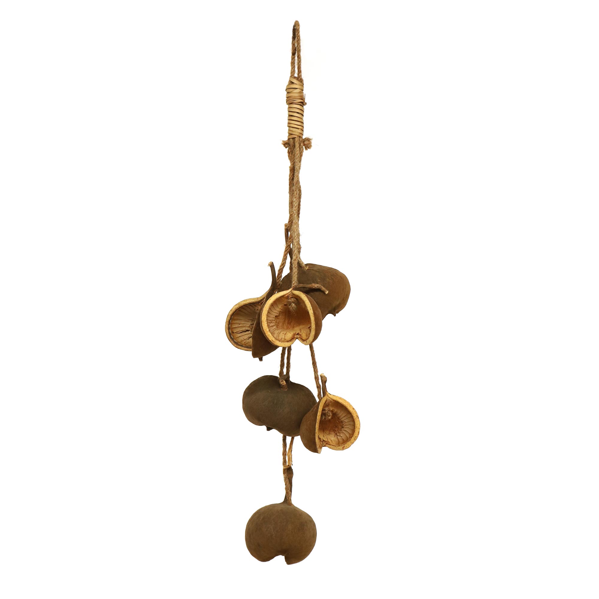 Buddha-Nussschalen, H 80 cm von fischer's lagerhaus