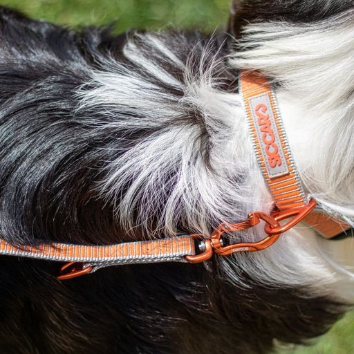 Siccaro - Sealines Dog Collar Mixed L