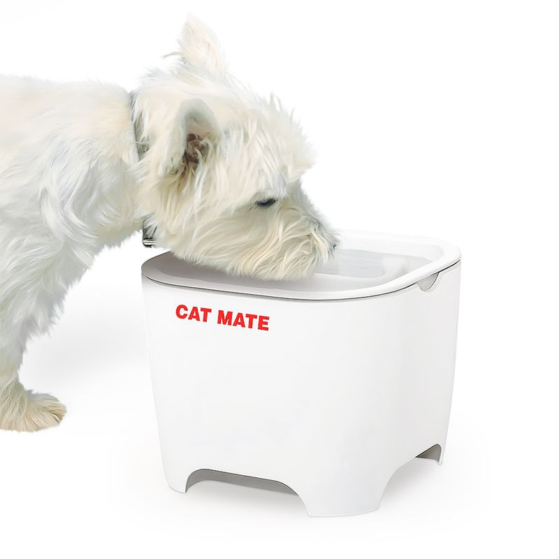 Fontaine à eau Cat Mate Coquillage 3 L