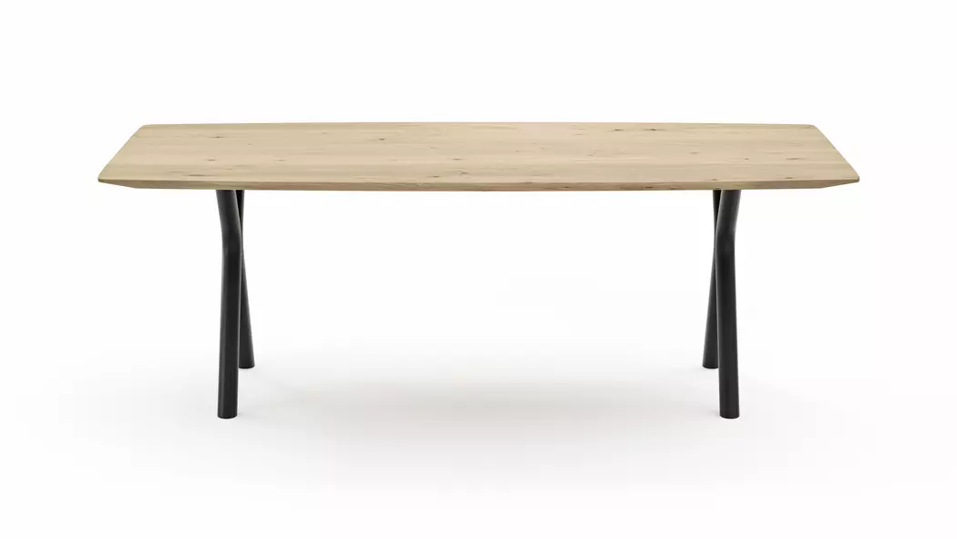 Esstisch Parla 220 x 100 cm
