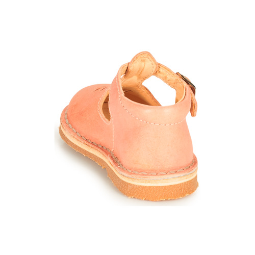 Aster - BIMBO-2 - Rose