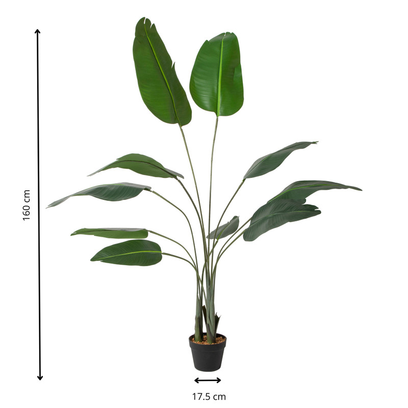 Kunstplant strelitzia - 160 cm