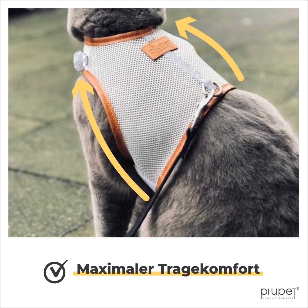 PIUPET Katzengeschirr Fritz grau S