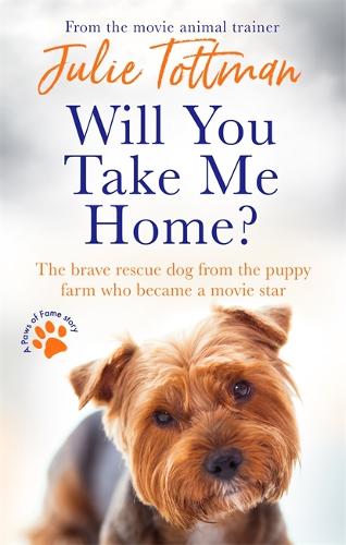 Will You Take Me Home: The brave rescue dog from the puppy farm who became a movie star (Paperback)