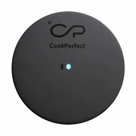 Witt CookPerfect Stegetermometer