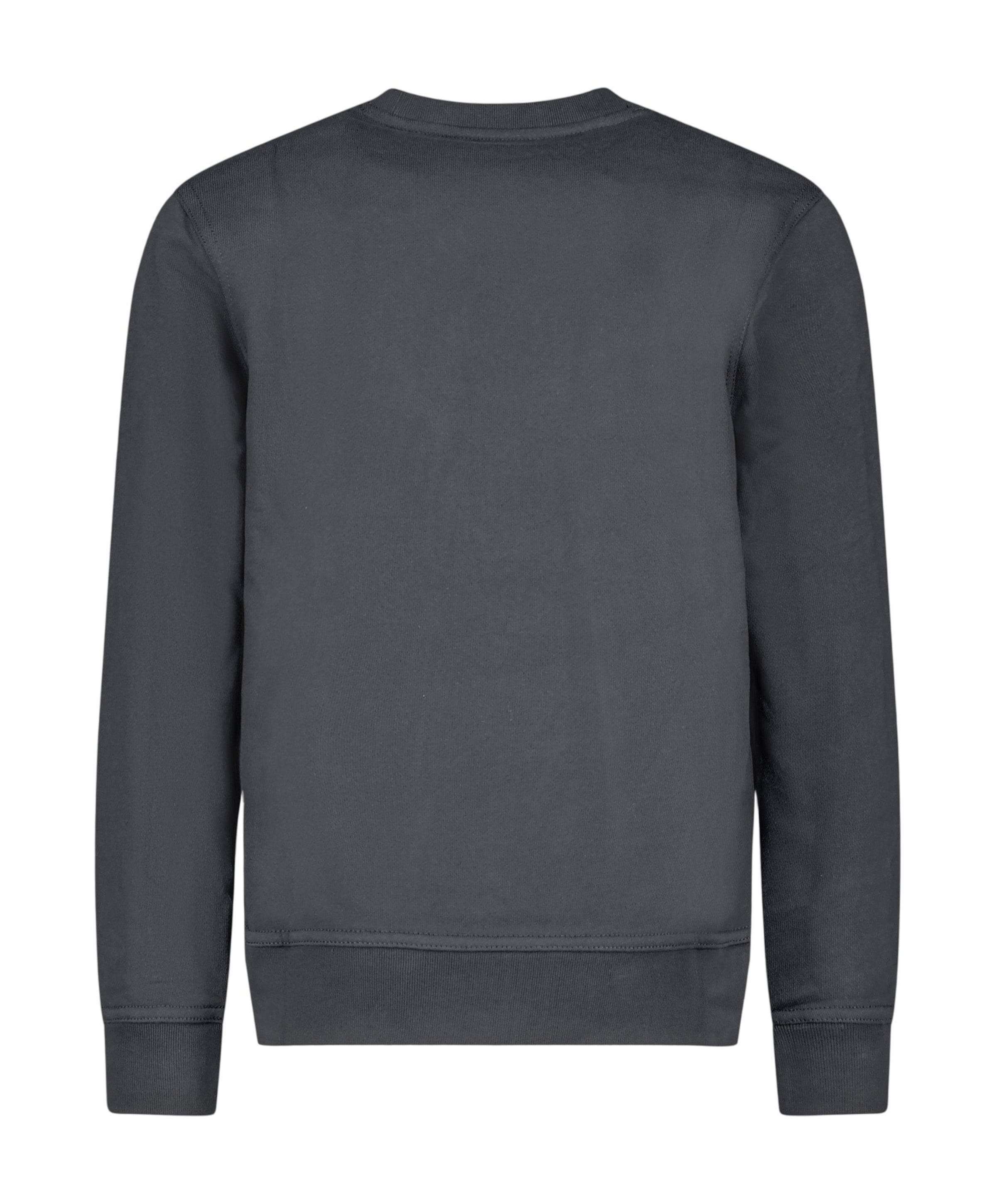 Airforce Jongens sweater grijs