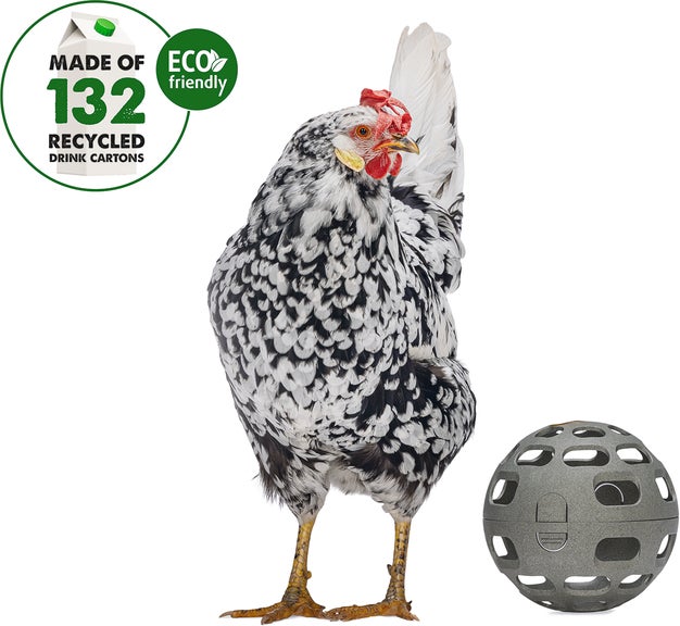 Beeztees kippenvoerbak speel snackbal grijs D 15 H 15 cm