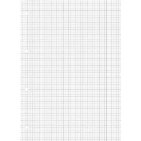 BRUNNEN Schulblock grau A4, 50 Blatt, gelocht, LIneatur 28