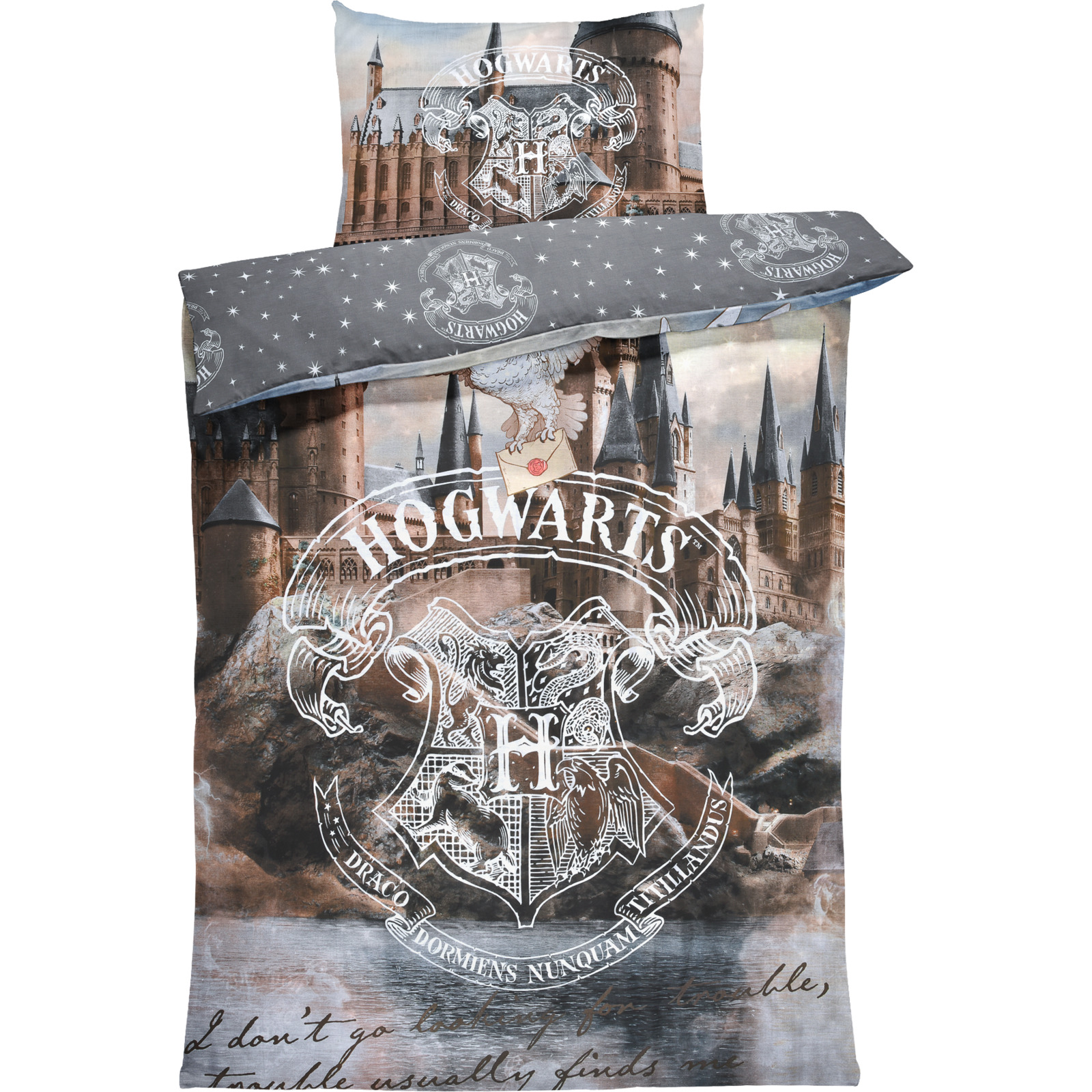 Bettwäsche Renforcé Harry Potter grau