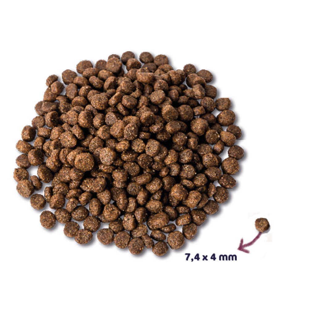 Renske Super Premium Puppy Kip - Lam2 kg