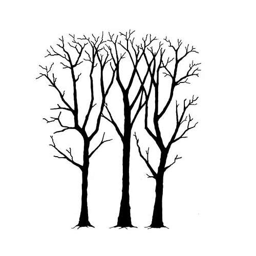 Lavinia Stempel, Spring Trees