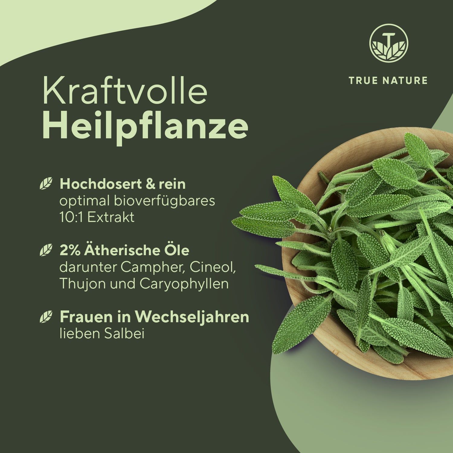 TRUE NATURE® Salbei Extrakt Kapseln