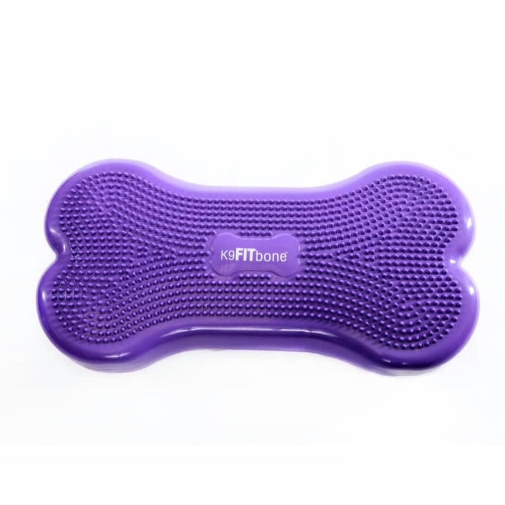 Plate-forme d'équilibre d'animaux giant k9fitbone pvc violet