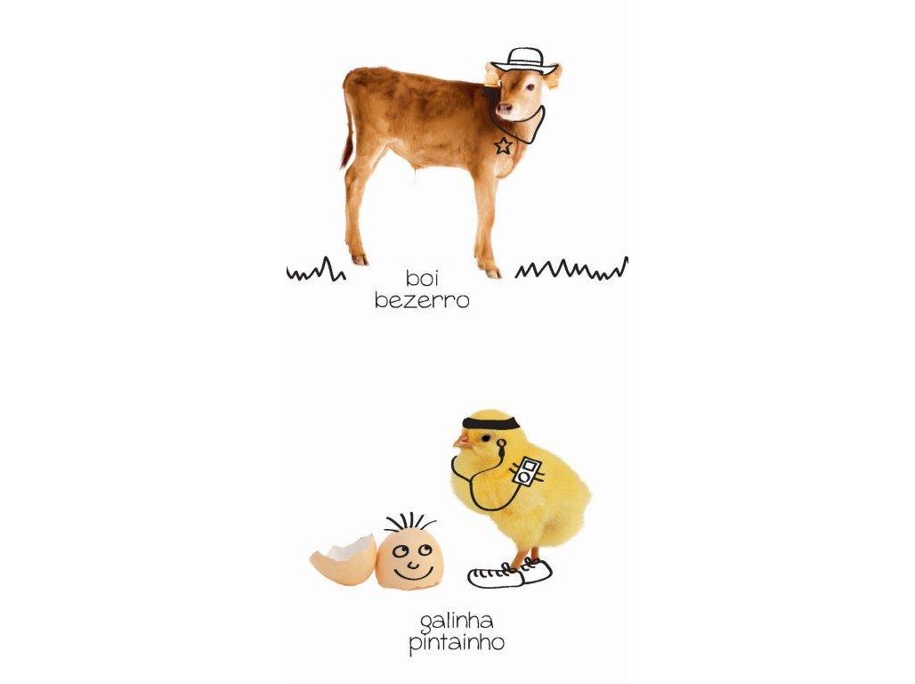 LIVRO OUVEBRINCA E VÊ! ANIMAIS BEBÉS