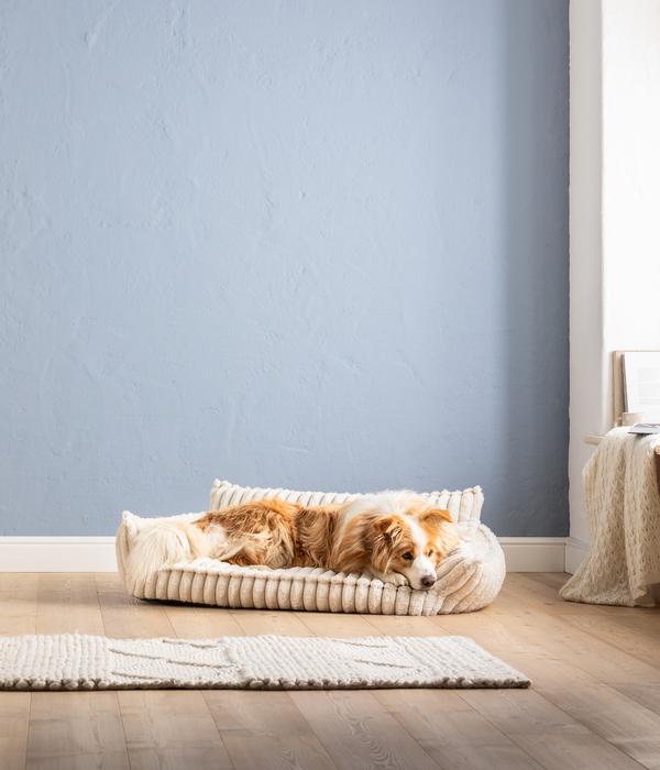 Dehner Lieblinge Kuschelsofa Arctica,