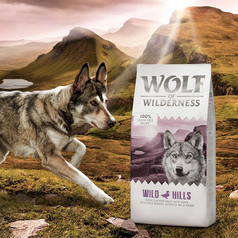 Wolf of Wilderness Mini Wild Hills canard