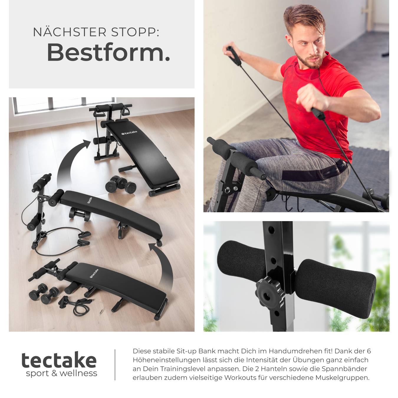 Sit-up Bank Cuttler