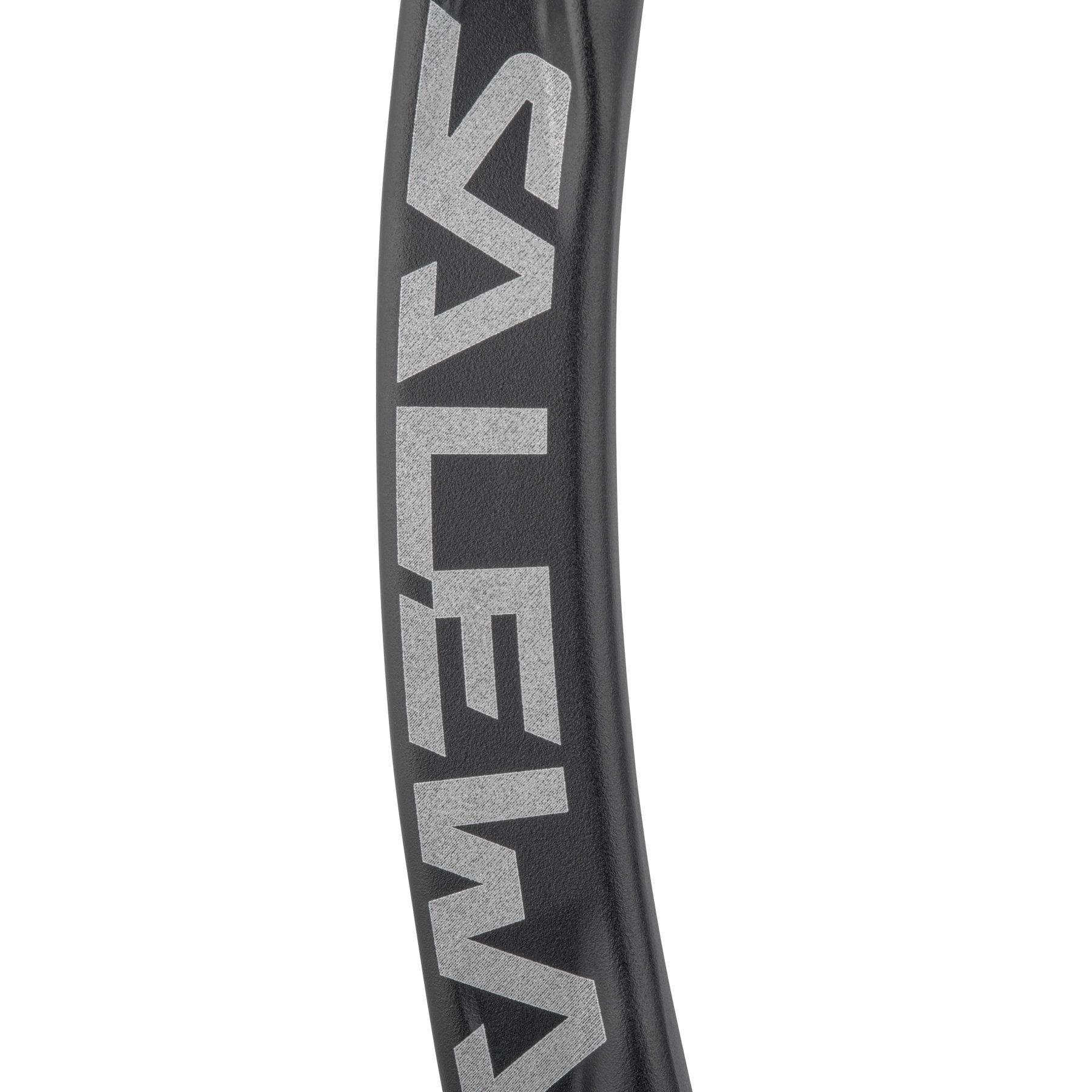 SALEWA Ortles Straight Karabiner schwarz