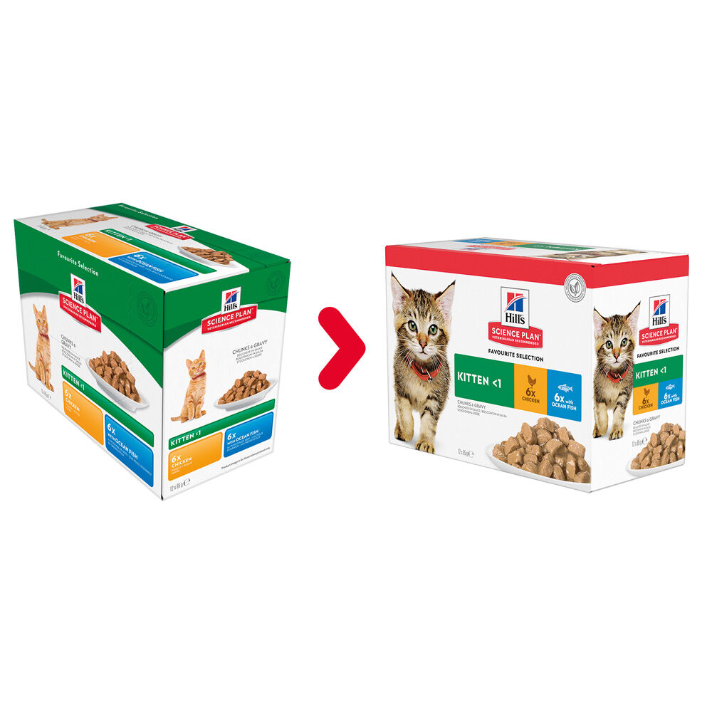 Hill's Science Plan Kitten - Kattenvoer - 12x85 gram - 85 Gram - vis, kip